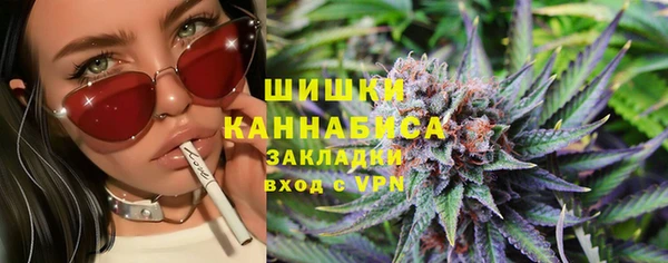 мдпв Волоколамск