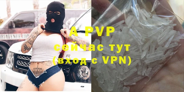 гидра Володарск