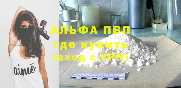 стафф Протвино