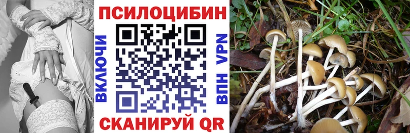 купить наркотики цена  Донской  Галлюциногенные грибы мухоморы 